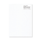 Tomoegawa Tomoe River White 52gsm A4 50 Sheets